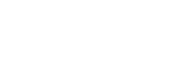 Logo Alianza ELE AGENCY - Tiendanube